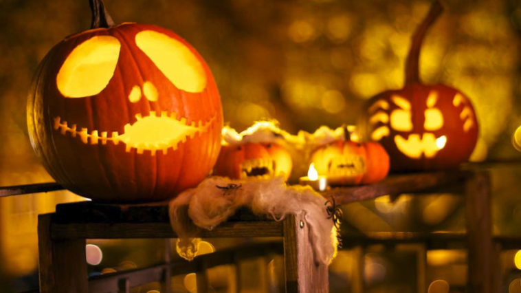 10 Spooky Facts About Halloween