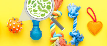 Dirtiest Things You Touch Every Day