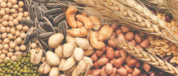 Interesting Facts About Carbohydrates