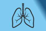 Fun & Interesting Facts About The Human Lungs