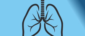 Fun & Interesting Facts About The Human Lungs