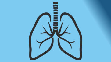 Fun & Interesting Facts About The Human Lungs