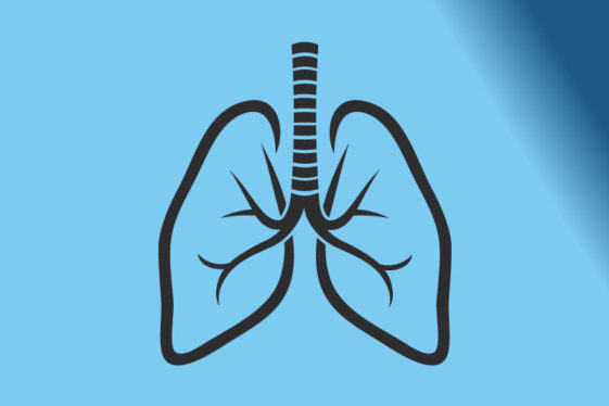 Fun & Interesting Facts About The Human Lungs - Factspedia