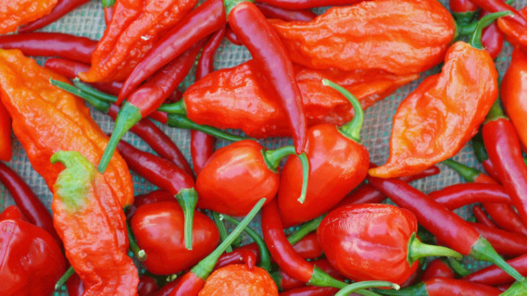 Interesting Facts about Chili Peppers