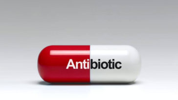 Interesting Facts and History of Antibiotics