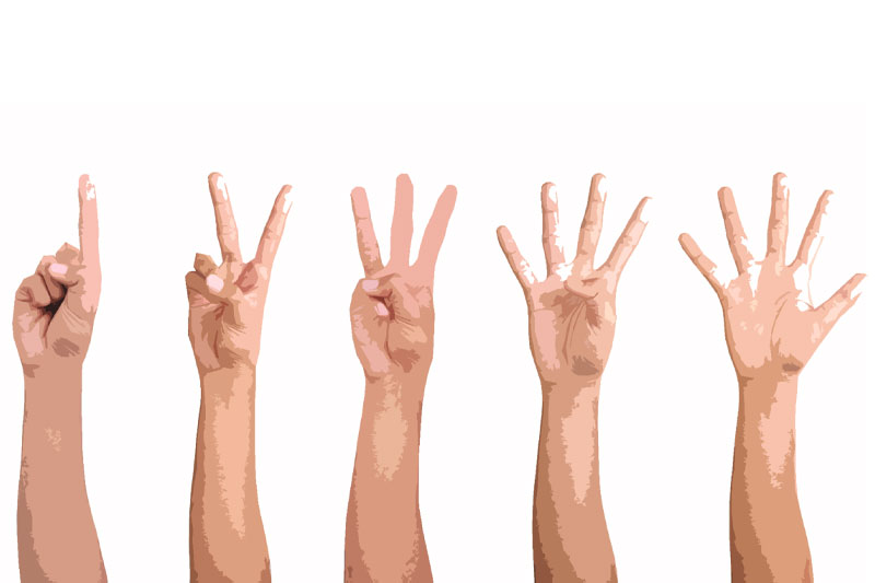 How Hands Tell Our Story. Five Finger Facts Factspedia