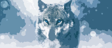 Interesting Facts About Wolves