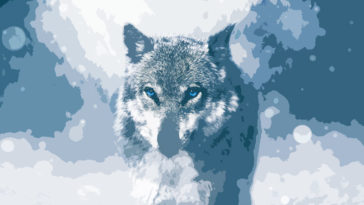 Interesting Facts About Wolves