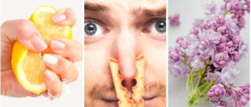 Study: Lemons, Lilac Among 10 Smells Useful in Predicting Alzheimer's