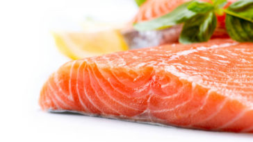 Interesting Salmon Facts and Health Benefits