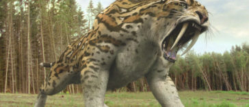 Smilodon
