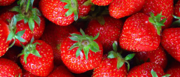Strawberries_facts