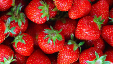 Strawberries_facts