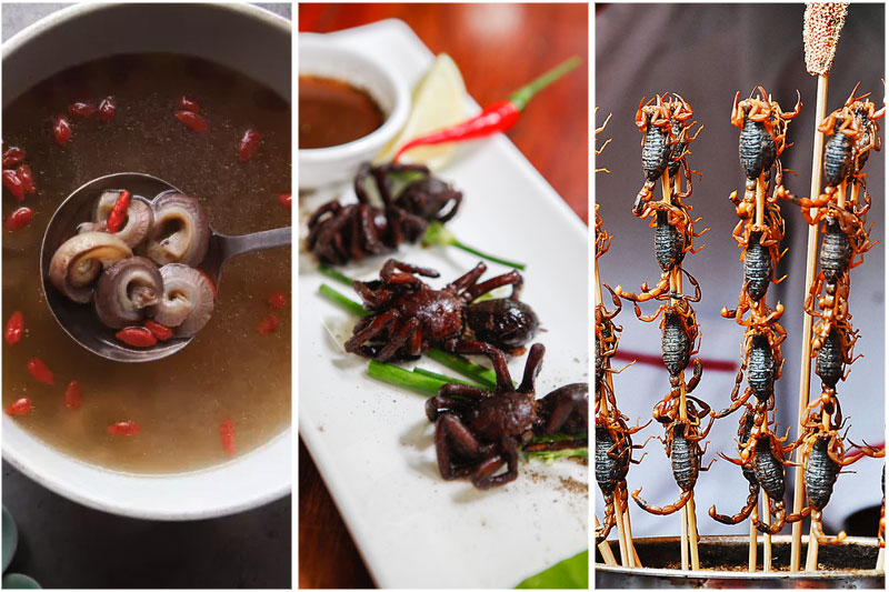 The 9 Weirdest Foods From Around the World - Factspedia