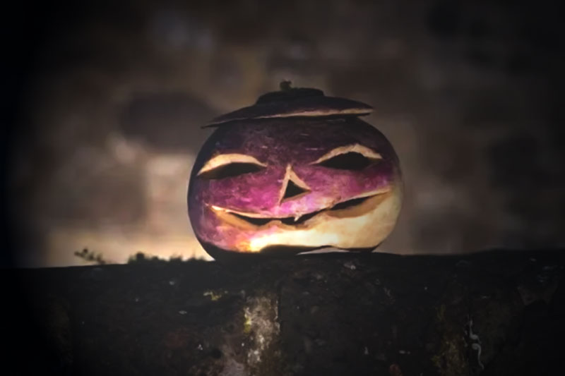 Jack-o-Lanterns Used to be Turnips