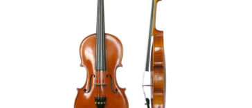 A violin actually contains 70 separate pieces of wood.
