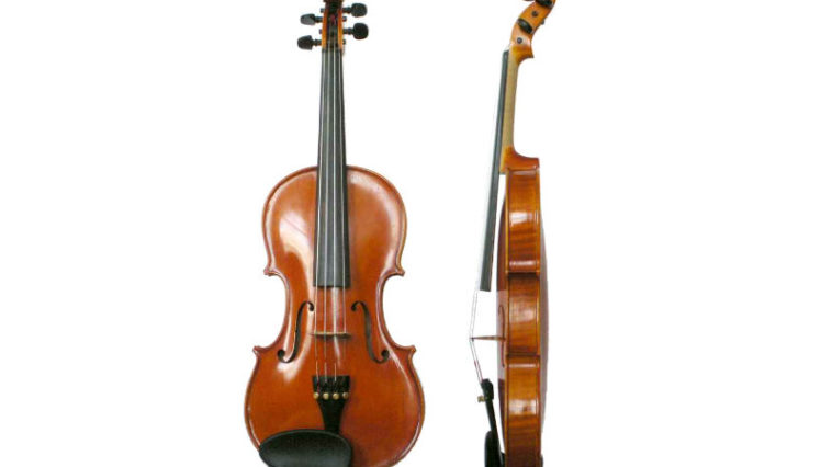 A violin actually contains 70 separate pieces of wood.