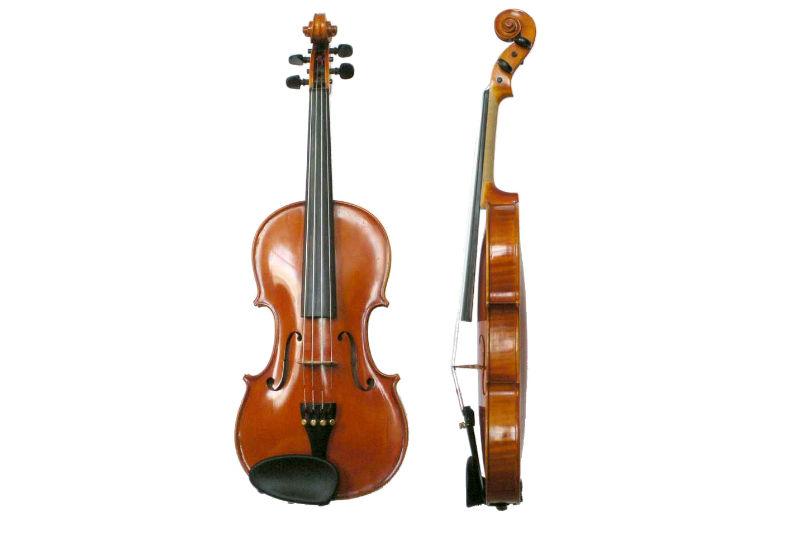 A violin actually contains 70 separate pieces of wood.