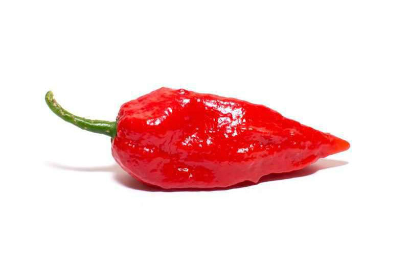Naga Jolokia World's Hottest Pepper