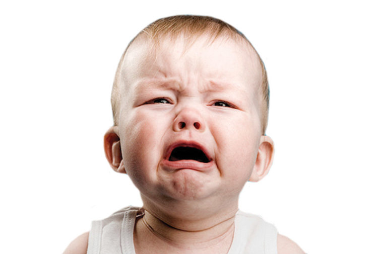 Wet Diapers, Dry Eyes Factspedia