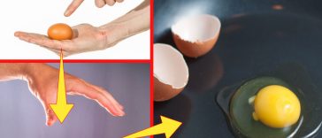 Simple and Smart Egg-Cracking Hack That You Wished You Already Knew
