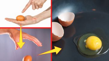 Simple and Smart Egg-Cracking Hack That You Wished You Already Knew