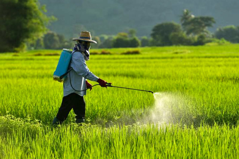 The Simple Way to Wash Off Pesticides From Fruit and Vegetables