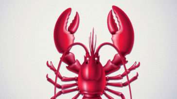 Fun & Interesting Facts About Lobsters