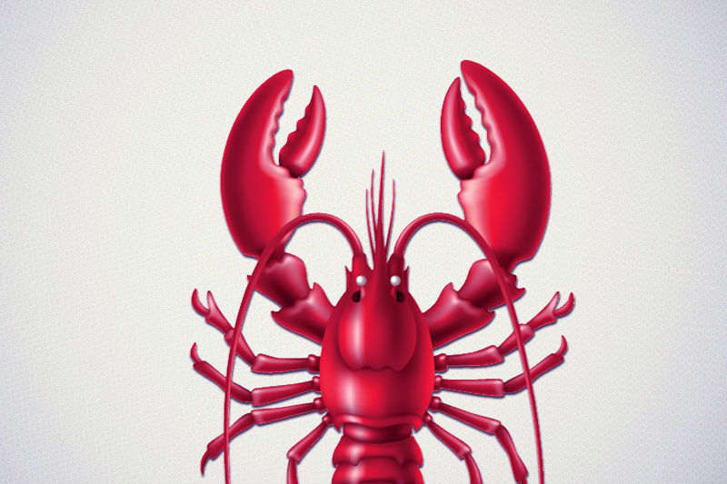 Fun & Interesting Facts About Lobsters