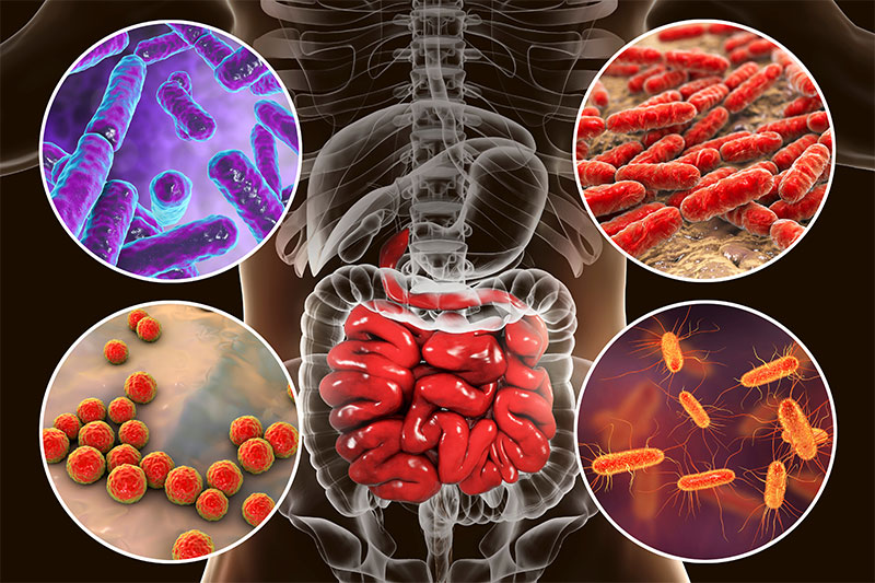 The War Inside Your Gut! Top 9 Enemies Of Your Digestive System