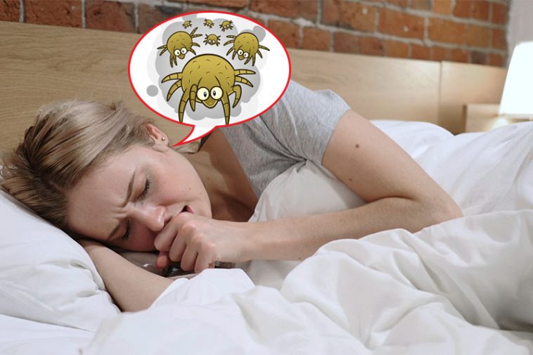When You Don't Wash Your Sheets, This Is What Happens Factspedia