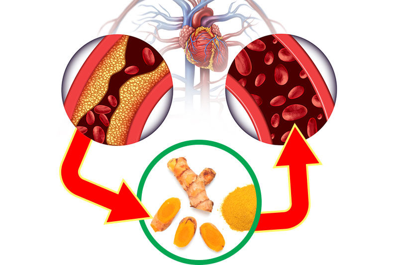 The 11 Best Foods to Increase Blood Flow and Circulation