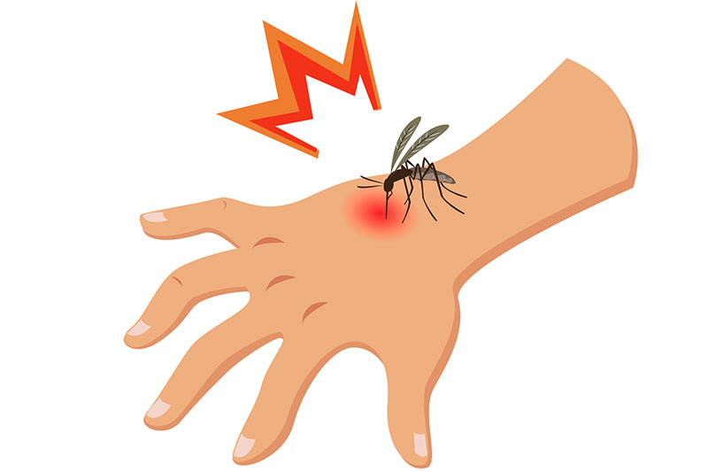 how much mosquitos may like your blood