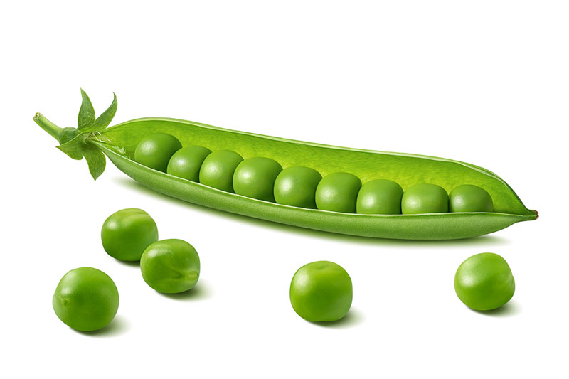 Fake Green Peas