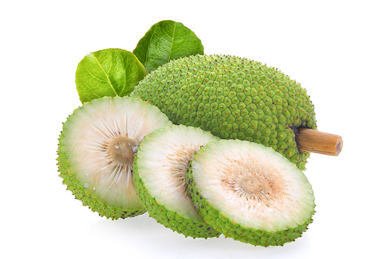 Breadfruit