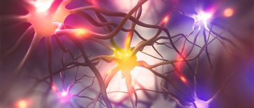 16 Genius Habits Your 80-Year-Old Brain Will Thank You For Doing Today