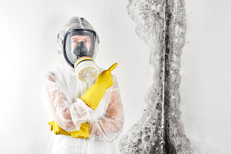 12 Secret Ways Your House Mold Is Making You Sick