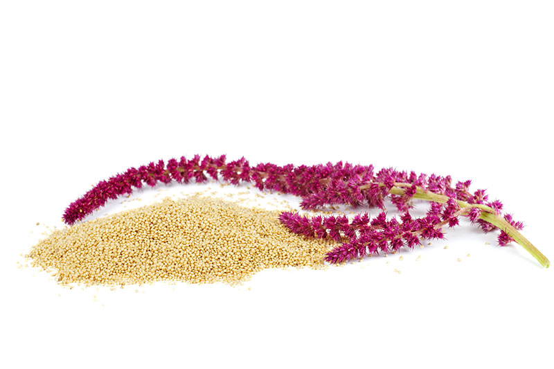 Amaranth