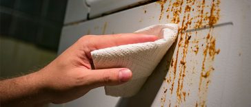 The 13 Dirtiest Things in Your Home, According to Science