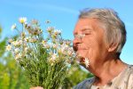 Rapid Loss of Smell Linked to Dementia and Alzheimer Disease in Older Adults