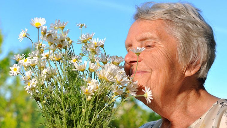 Rapid Loss of Smell Linked to Dementia and Alzheimer Disease in Older Adults