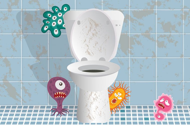 The 5 Most Surprising Bathroom Hazards You Should Know About Factspedia