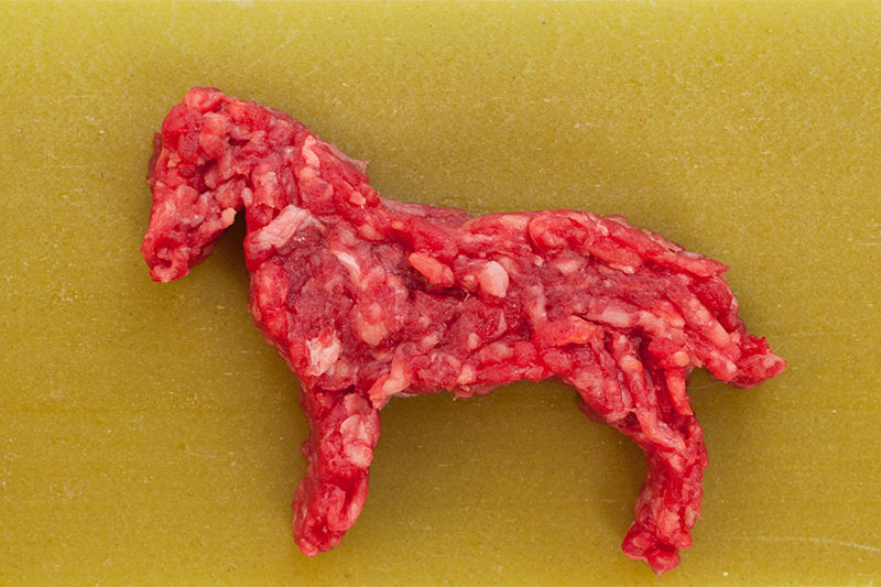 Horse meat