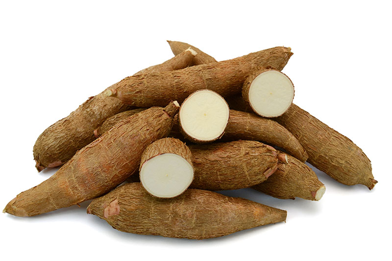 Cassava