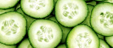 Cucumber