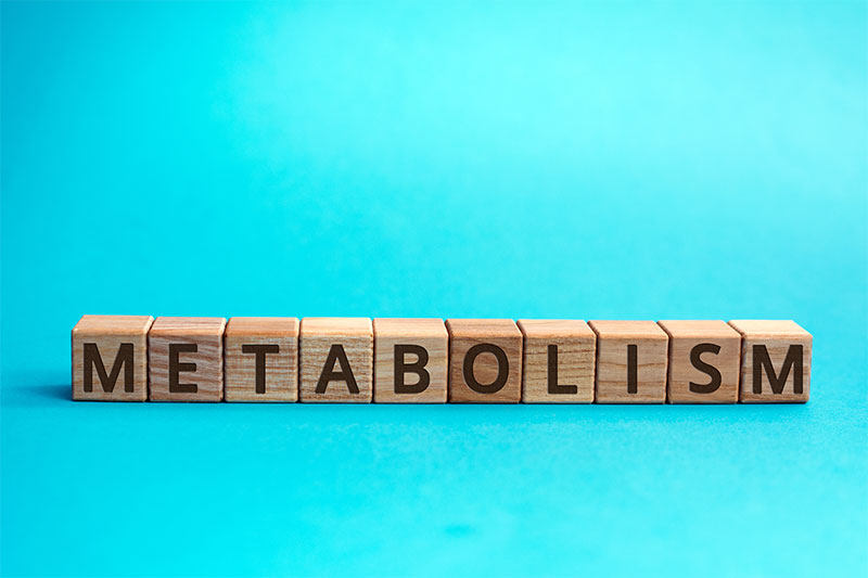 boost your metabolism