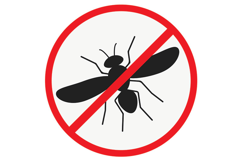 Keep bugs away