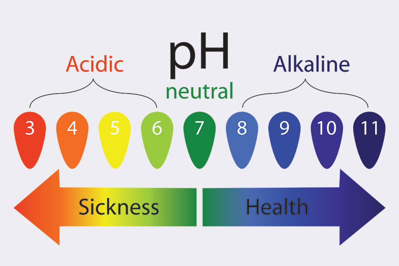 Balances the body’s pH levels