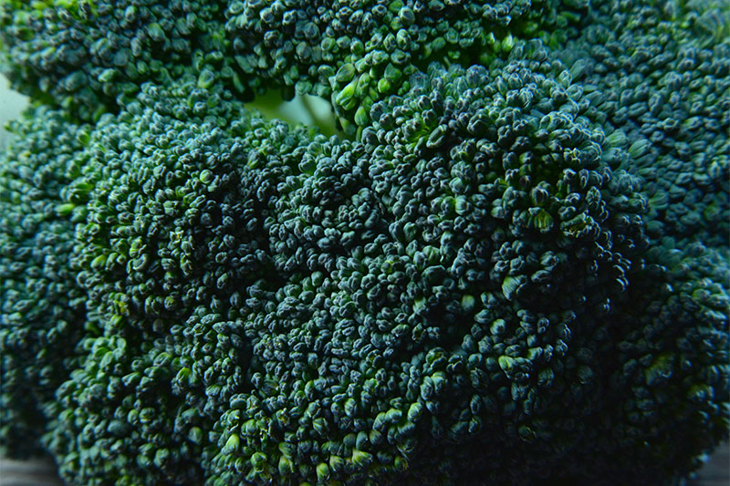 Broccoli Stocks