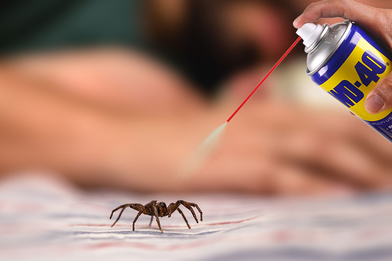 Keeps The Spiders Away wd-40